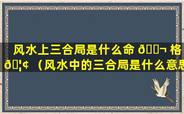 风水上三合局是什么命 🐬 格 🦢 （风水中的三合局是什么意思）